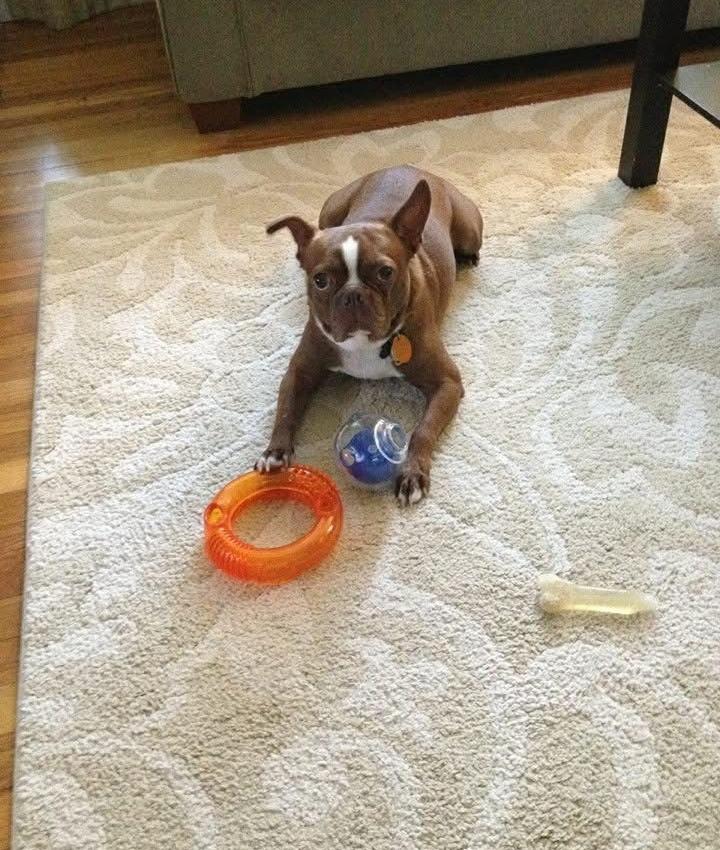 Portrait of Alanna Dillon