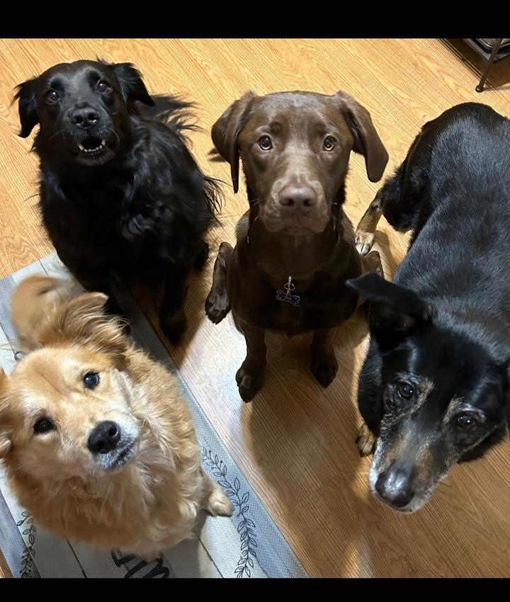 Portrait of Diane Ferguson