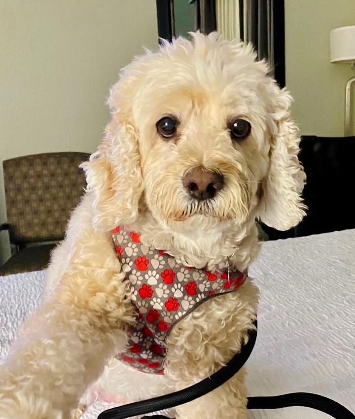 Portrait of Jorge Cayo