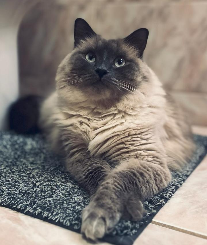 Portrait of Kristie Lampkin