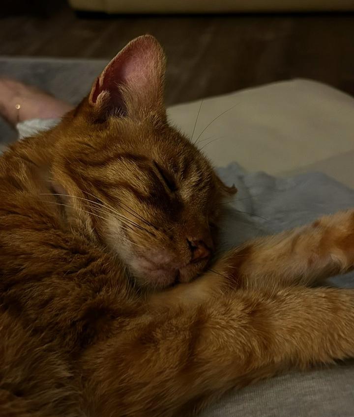 Portrait of Lois Feher