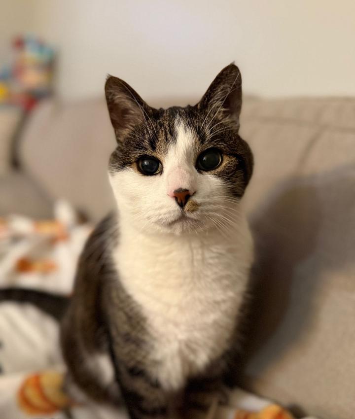 Portrait of Alexa Gibbons