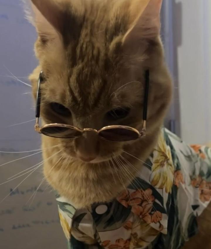 Portrait of Robert Kauffman