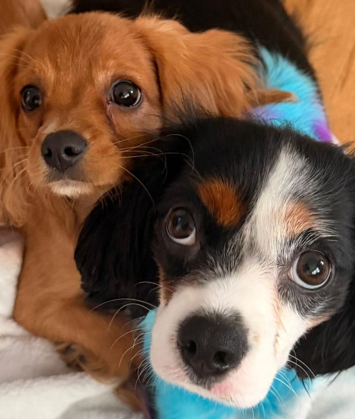 Portrait of Shayla Hennessey