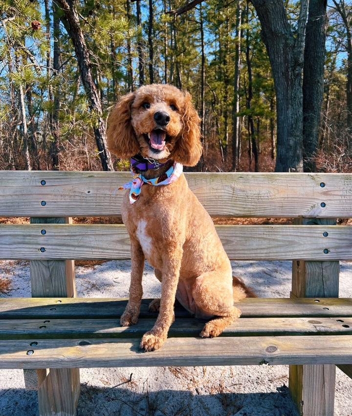 Portrait of Valentina Profaci