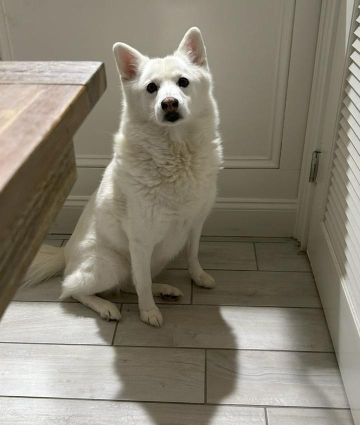 Portrait of Kayla Scott