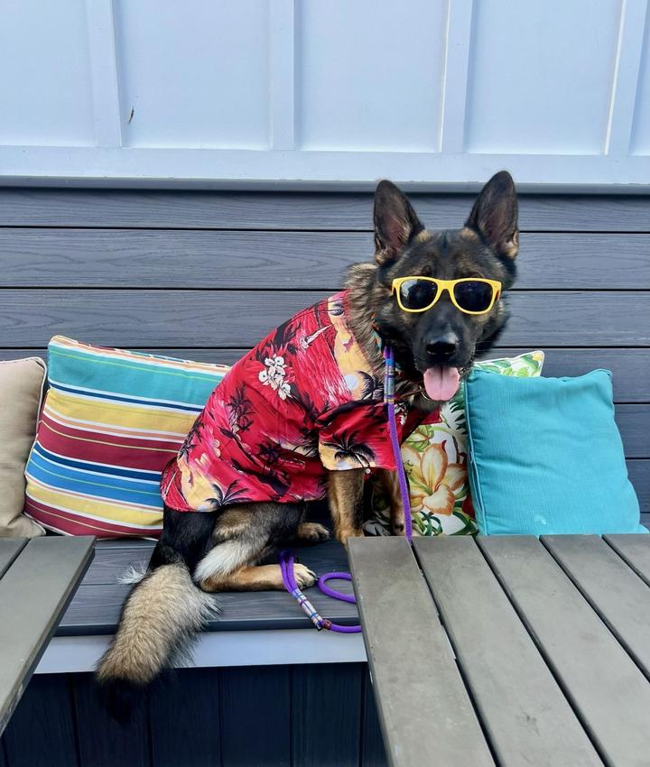 Portrait of Dayna Nesta