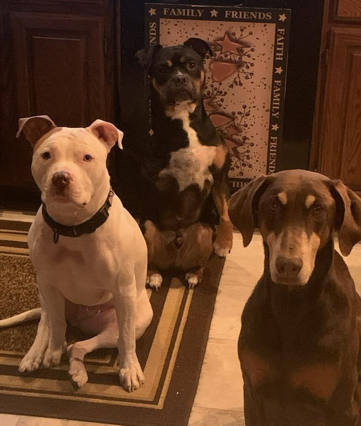 Portrait of Linda Vogel