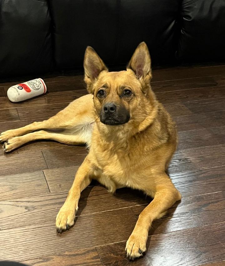 Portrait of Matthew Maugeri