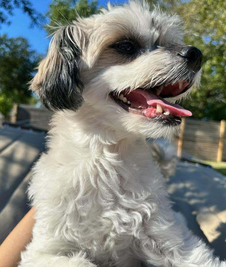 Portrait of Melissa DeMedici