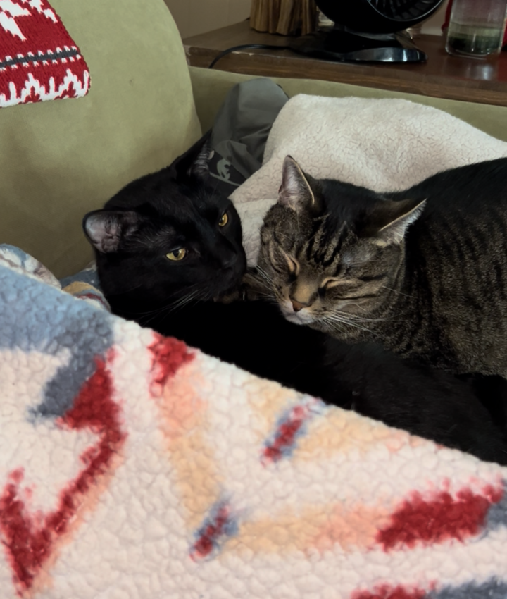 Portrait of Kimberly Mathis