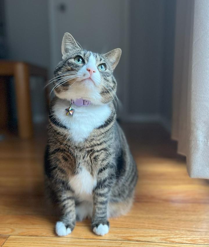 Portrait of Victoria Albanowicz