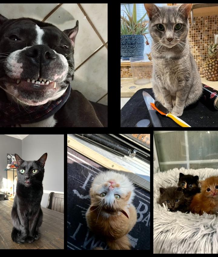 Portrait of Rana Hayden