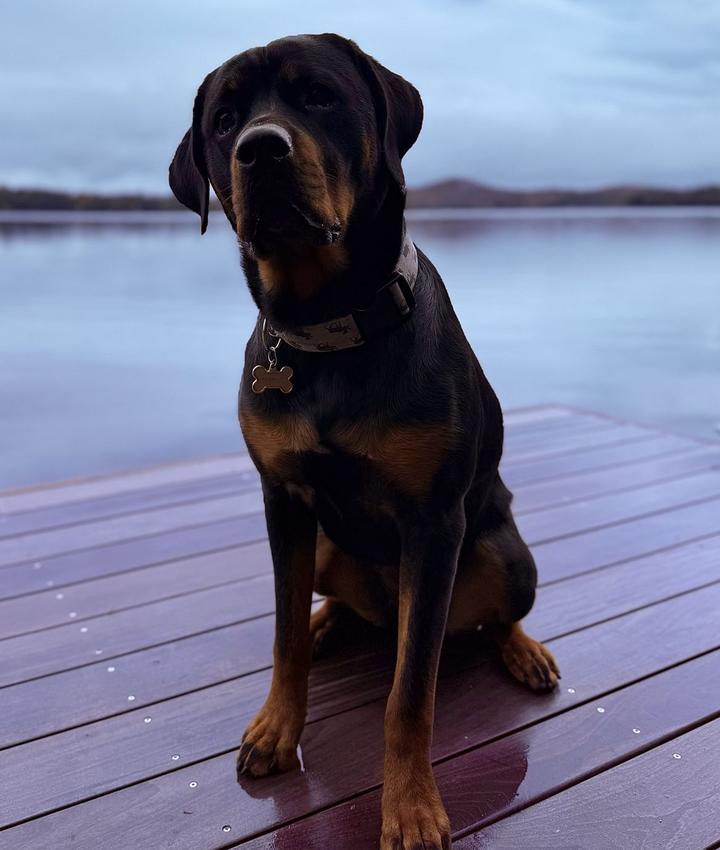 Portrait of Alexandra Szymanski