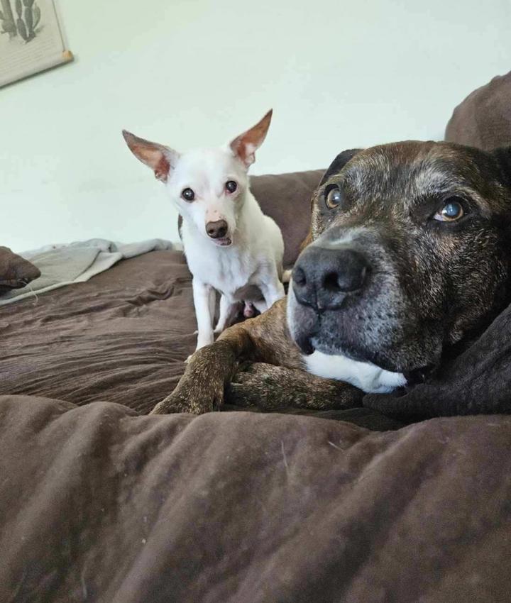 Portrait of Rosa Scotto DiSantolo