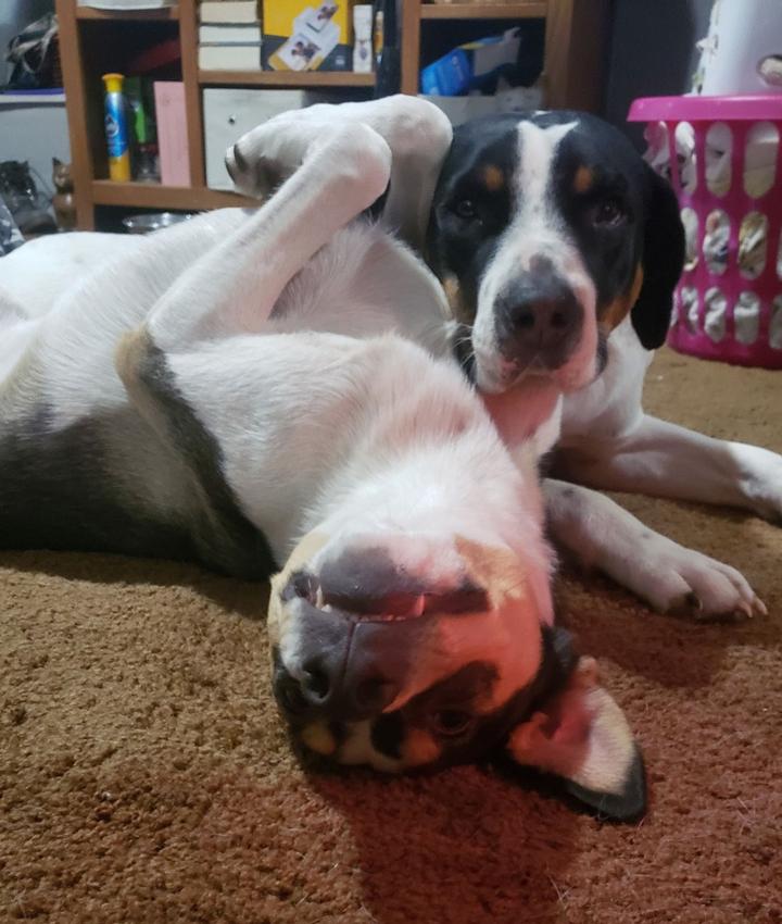 Portrait of Scarlett Biernacki